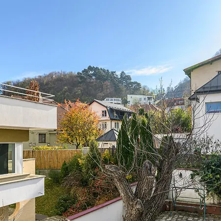 Elite Neagoe Braşov