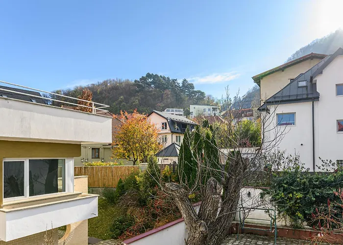 Elite Neagoe Braşov